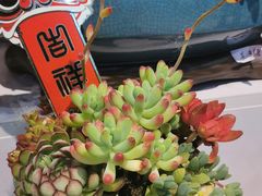 -太原茂业天地购物中心