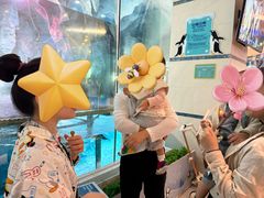 -帝企鹅自助餐厅•儿童岛•真企鹅(长隆企鹅酒店)