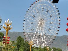 -特克斯八卦城