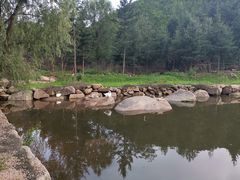 -六里坪国家森林公园