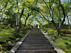 -常寂光寺