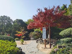-穹窿山景区