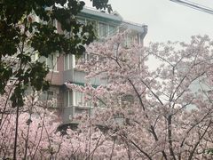 -永乐路-路侧停车场