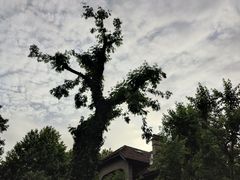 -思南公馆商业街