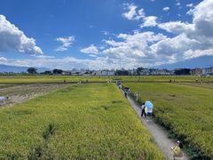 -喜林苑·稻田餐厅(品相府店)