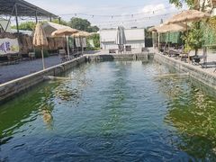 -DGE季风钓虾营地·团建·聚会