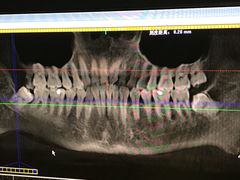 -兔博士口腔(高新一路门诊部)