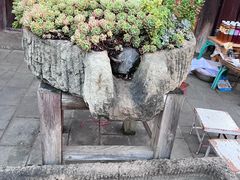 -巍山古城