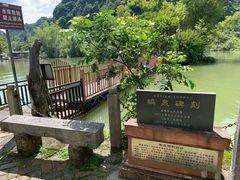 -靖西鹅泉风景区