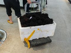 -桃源市场(解放路店)