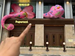 -帕帕拉兹宠物(亚洲旗舰店)