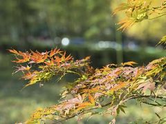 -青岛崂山太清宫