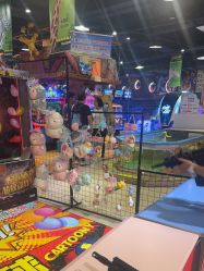 -卡通尼·Safari非洲探索乐园·生日会(金桥国际商业广场店)