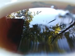 -涂山寺素食餐厅