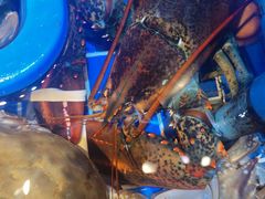 -三个渔夫·蒸汽海鲜(小白楼店)