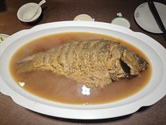 -豫丰汇河南名菜楼(武记餐饮)