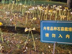 -杭州植物园