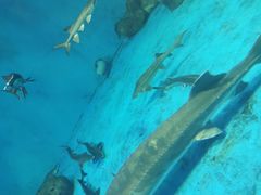 -多彩贵州城极地海洋世界