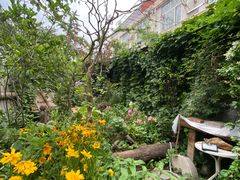 -斯多格书乡(北京大学畅春园店)