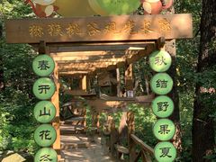 -大岭沟猕猴桃谷风景区