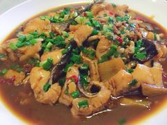 -全乐鱼馆·淳牌有机鱼直营店