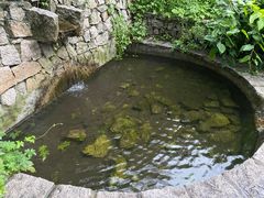 -北京凤凰岭