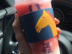 -春丽小马(济南恒隆广场店)