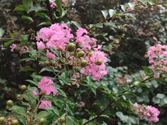 -陕西省西安植物园