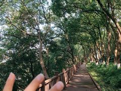 -上海市保健医疗中心