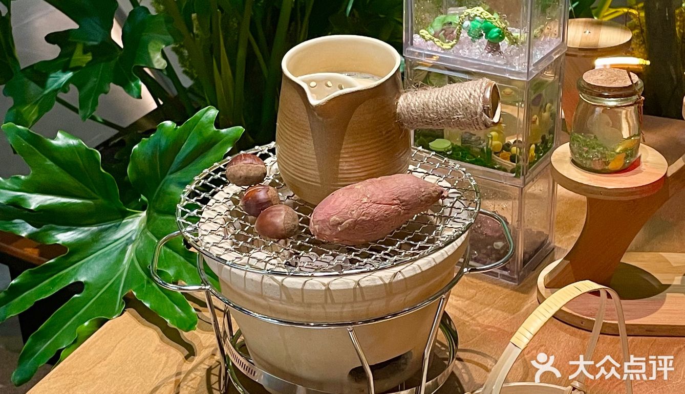 不愧是南门！超有氛围的异宠陪伴的围炉下午茶！