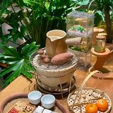 不愧是南门！超有氛围的异宠陪伴的围炉下午茶！