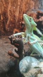 -酷嗒动物文化乐园(cutezoo西溪乐天城店)