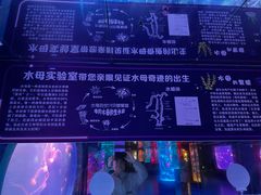 -左海海底世界
