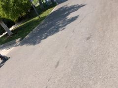 -昆山城市生态森林公园