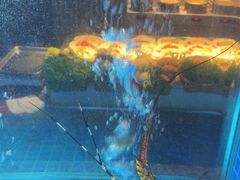 -海味世家·家常菜馆(明州里店)