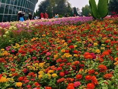 -石家庄市植物园