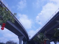 -中澳友谊花园