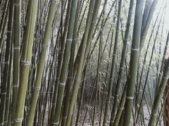 -竹泉村旅游度假区