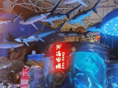 -烟台海昌鲸鲨海洋公园