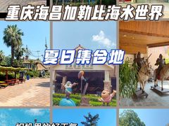 -重庆海昌加勒比海水世界