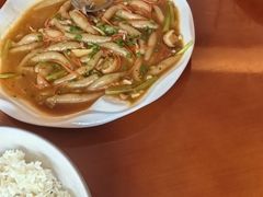 -杨记新泉美食