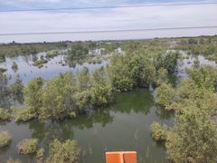 -黑河国家森林公园