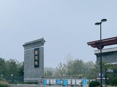 -莲花池公园