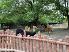 -上海野生动物园