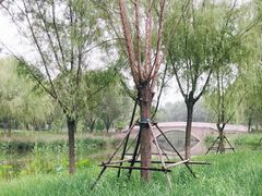 -东郊湿地公园