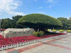 -南宁南湖公园