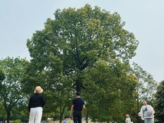-南京市江宁方山