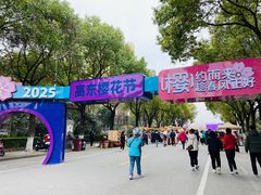 -高东镇樱花园