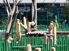 -沈阳森林动物园