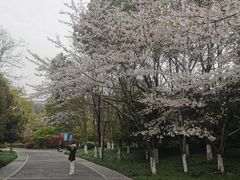 -杭州城北体育公园